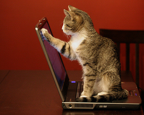 Czysty kod – Programmer-girl Weronika Mularczyk